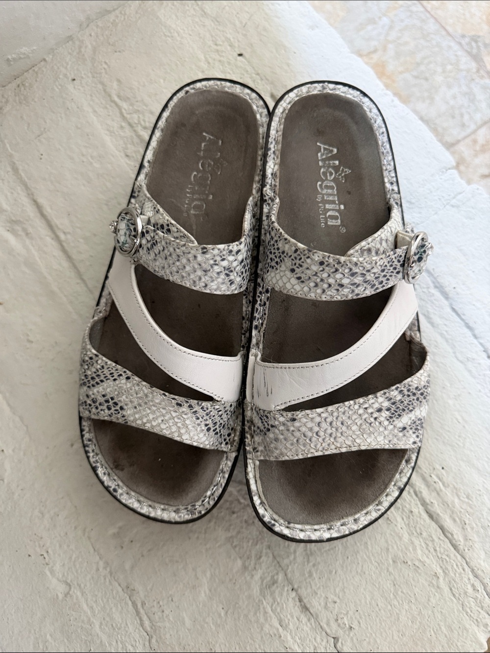 Alegria White Snake-Print Slide Sandals with Buckle